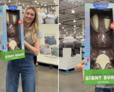 Coelho De Chocolate Com 4,5 Kg é Tão Grande Que Vem Com… Instruções Coelho De Chocolate Com 4,5 Kg é Tão Grande Que Vem Com… Instruções