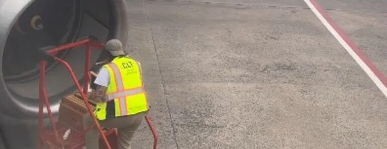 Enxame De Abelhas Na Turbina Atrasa Voo Da American Airlines Enxame De Abelhas Na Turbina Atrasa Voo Da American Airlines