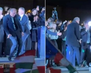 Político Húngaro Festeja Vitória De Magyar a Dançar… e Torna-se Viral Político Húngaro Festeja Vitória De Magyar a Dançar… e Torna-se Viral