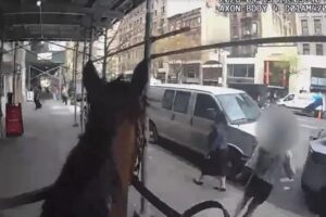 Furta Mala De Idosa e é Detida Por Polícia a Cavalo Nos EUA