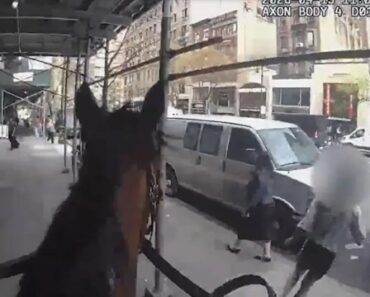 Furta Mala De Idosa e é Detida Por Polícia a Cavalo Nos EUA Furta Mala De Idosa e é Detida Por Polícia a Cavalo Nos EUA