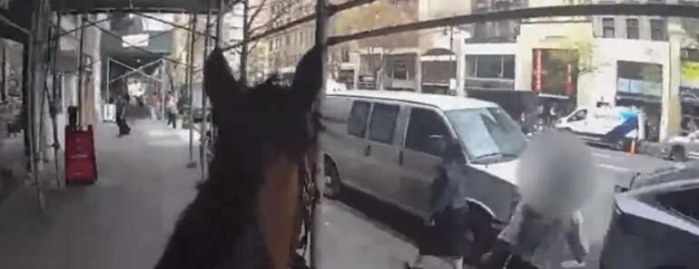 Furta Mala De Idosa e é Detida Por Polícia a Cavalo Nos EUA Furta Mala De Idosa e é Detida Por Polícia a Cavalo Nos EUA