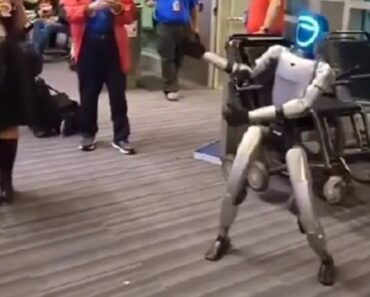 Dança, Tira Selfies… e Atrasa Voo Nos EUA: Eis Bebop, o Robô Que Viaja Dança, Tira Selfies… e Atrasa Voo Nos EUA: Eis Bebop, o Robô Que Viaja