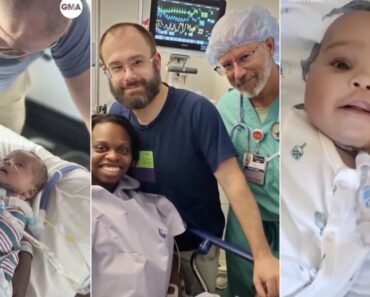 Bebé é Operada Fora Da Barriga e Volta Ao Útero Da Mãe Para Depois “Nascer” Às 31 Semanas Bebé é Operada Fora Da Barriga e Volta Ao Útero Da Mãe Para Depois “Nascer” Às 31 Semanas