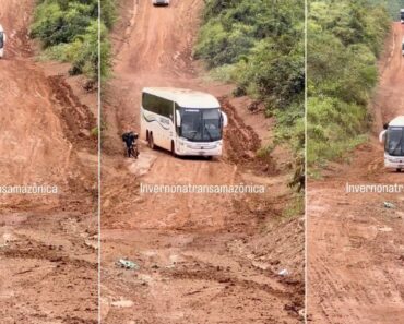 Viagem De Autocarro Pela Amazónia é Um Desafio à Parte Viagem De Autocarro Pela Amazónia é Um Desafio à Parte