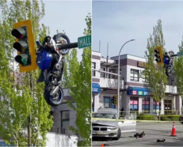 Mota Fica Suspensa Num Semáforo Após Colisão Violenta Com Carro No Canadá Mota Fica Suspensa Num Semáforo Após Colisão Violenta Com Carro No Canadá