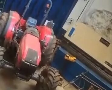 Vídeo Mostra Intensidade De Sismo De 4,6 Que Abanou Os Açores No Domingo Vídeo Mostra Intensidade De Sismo De 4,6 Que Abanou Os Açores No Domingo