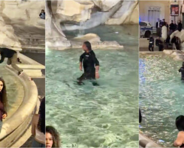 Turista Alcoolizado Mergulha Na Fontana di Trevi e Acaba Multado Em 500 Euros Turista Alcoolizado Mergulha Na Fontana di Trevi e Acaba Multado Em 500 Euros