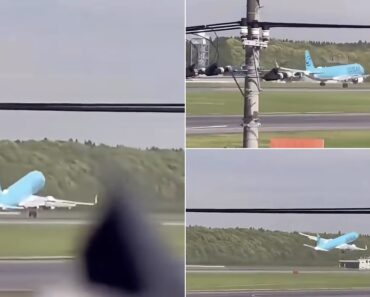 Avião Coreano Sofre Com Ventos Extremos No Aeroporto Internacional De Tóquio e Aborta Aterragem Avião Coreano Sofre Com Ventos Extremos No Aeroporto Internacional De Tóquio e Aborta Aterragem
