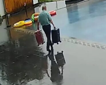 Funcionário De Hotel Confunde Piscina Com Piso Molhado e Acaba Lá Dentro Funcionário De Hotel Confunde Piscina Com Piso Molhado e Acaba Lá Dentro