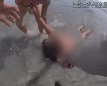Mulher Inconsciente No Mar Salva Pela Polícia Da Flórida Mulher Inconsciente No Mar Salva Pela Polícia Da Flórida