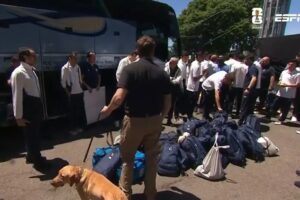 Surreal: Seleção Do Uzbequistão Alvo De Controlo De Segurança Que Até Envolveu Cães Antes Do Jogo Com a Holanda