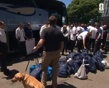 Surreal: Seleção Do Uzbequistão Alvo De Controlo De Segurança Que Até Envolveu Cães Antes Do Jogo Com a Holanda Surreal: Seleção Do Uzbequistão Alvo De Controlo De Segurança Que Até Envolveu Cães Antes Do Jogo Com a Holanda