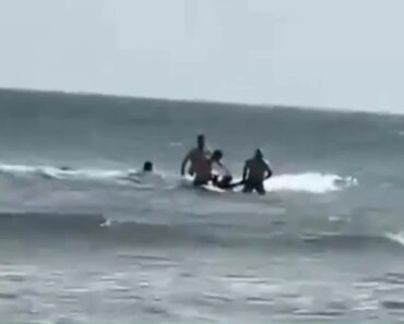 Agride Sexualmente Turista e Foge Para o Mar. Precisou De Ser Resgatado Agride Sexualmente Turista e Foge Para o Mar. Precisou De Ser Resgatado