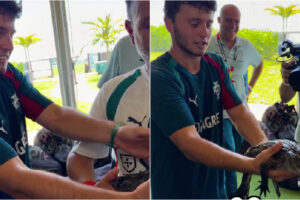 João Neves Pega Num Jacaré e Surpreende Pela Tranquilidade