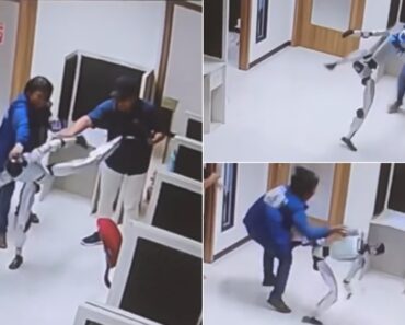 Robô Entra Em Modo ‘Kung-Fu’ Em Empresa e Causa o Pânico Geral Robô Entra Em Modo ‘Kung-Fu’ Em Empresa e Causa o Pânico Geral