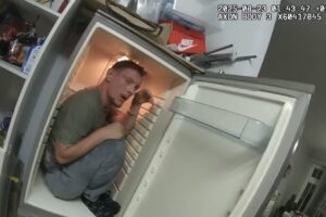 Homem Foge à Polícia e é Encontrado Dentro Do Frigorífico