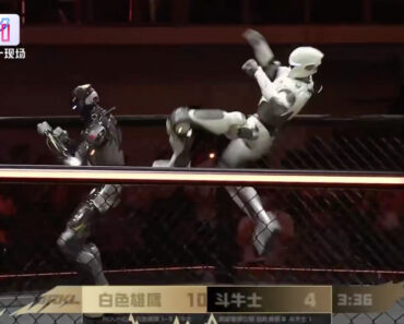 Robô Perde a Cabeça No Primeiro Combate De MMA Entre Humanoides Na China Robô Perde a Cabeça No Primeiro Combate De MMA Entre Humanoides Na China