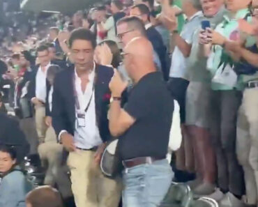 Rui Costa Saiu a Correr, Tropeçou e Quase Caiu Após a Derrota Do Benfica Na Suíça Rui Costa Saiu a Correr, Tropeçou e Quase Caiu Após a Derrota Do Benfica Na Suíça