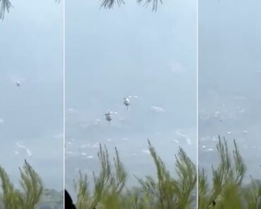 Choque Entre Helicópteros Durante Combate Aos Incêndios Na Grécia Fica Registado Em Vídeo Choque Entre Helicópteros Durante Combate Aos Incêndios Na Grécia Fica Registado Em Vídeo