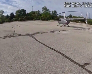 Polícia Encontra Helicóptero No Parque De Loja De Caça e Pesca e a Explicação Do Piloto Surpreende Polícia Encontra Helicóptero No Parque De Loja De Caça e Pesca e a Explicação Do Piloto Surpreende