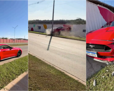 Amigo Destrói Mustang e a Reação Do Proprietário Torna-se Meme: «É Bem Material» Amigo Destrói Mustang e a Reação Do Proprietário Torna-se Meme: «É Bem Material»