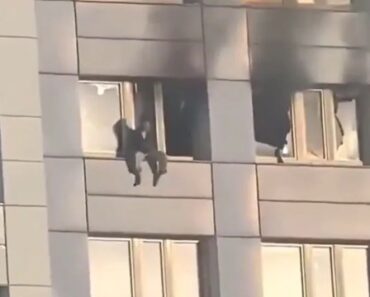 Mulher Presa Em Parapeito De Janela No 11.º Andar Após Incêndio Mulher Presa Em Parapeito De Janela No 11.º Andar Após Incêndio