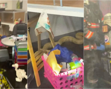 Píton De 2,4 Metros Foge e Provoca Incêndio Dentro De Escola Nos EUA Píton De 2,4 Metros Foge e Provoca Incêndio Dentro De Escola Nos EUA
