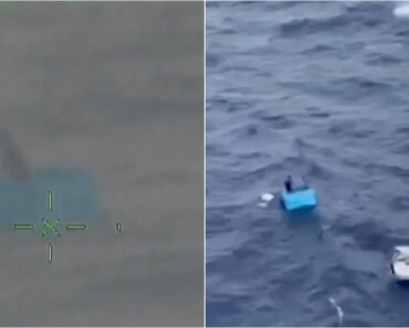 Pescadores Sobrevivem Cinco Dias à Deriva No Mar Dentro De Uma Caixa Térmica Pescadores Sobrevivem Cinco Dias à Deriva No Mar Dentro De Uma Caixa Térmica