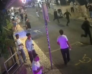 Atropela 16 Após Fuga à GNR e Pede “Desculpa”: Noite De Caos Em Albufeira Atropela 16 Após Fuga à GNR e Pede “Desculpa”: Noite De Caos Em Albufeira