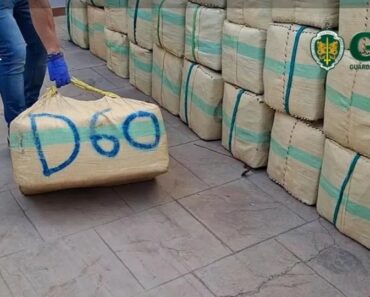 Guadiana: Desmantelada Rede De Tráfico. 11 Toneladas De Droga Apreendidas Guadiana: Desmantelada Rede De Tráfico. 11 Toneladas De Droga Apreendidas