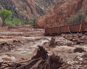 Mais De 20 Pessoas Procuradas No Grand Canyon Após Cheia Repentina Mais De 20 Pessoas Procuradas No Grand Canyon Após Cheia Repentina