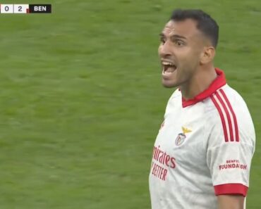 Emissão Da Sport TV Apanha Palavrão De Pavlidis e Grego Comenta… “O Meu Português Está o Evoluir Rápido” Emissão Da Sport TV Apanha Palavrão De Pavlidis e Grego Comenta… “O Meu Português Está o Evoluir Rápido”