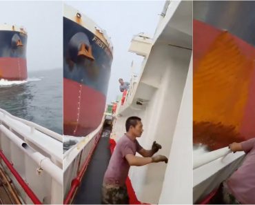 Navio De 229 Metros Atinge Barco De Pesca e Vídeo Mostra o Momento De Pânico a Bordo Navio De 229 Metros Atinge Barco De Pesca e Vídeo Mostra o Momento De Pânico a Bordo