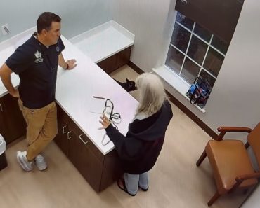 Uma Consulta Ao Veterinário Que Parecia Simples Acabou De Forma Explosiva Uma Consulta Ao Veterinário Que Parecia Simples Acabou De Forma Explosiva