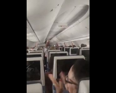Avião Alvo De Ataque Consegue Aterrar Na Arábia Saudita e Passageiros Festejam Efusivamente Avião Alvo De Ataque Consegue Aterrar Na Arábia Saudita e Passageiros Festejam Efusivamente