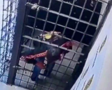 Homem Foge De Cela Ao Passar Entre As Grades e Ainda Volta Para Buscar Os Sapatos Homem Foge De Cela Ao Passar Entre As Grades e Ainda Volta Para Buscar Os Sapatos