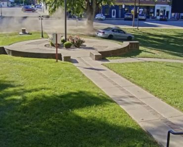 Idosa Embriagada Faz Peões No Jardim De Tribunal Nos EUA Idosa Embriagada Faz Peões No Jardim De Tribunal Nos EUA