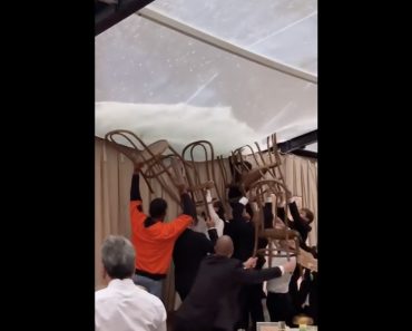 Chuva Obriga Convidados De Casamento a Segurar a Tenda Com Cadeiras Chuva Obriga Convidados De Casamento a Segurar a Tenda Com Cadeiras