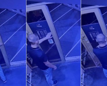 Homem Tenta Atravessar Porta Imaginária e Quase Fica Preso Homem Tenta Atravessar Porta Imaginária e Quase Fica Preso